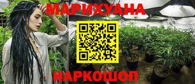 кокс Пугачёв