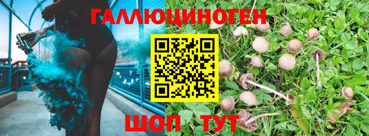 Псилоцибиновые грибы MAGIC MUSHROOMS Соль-Илецк