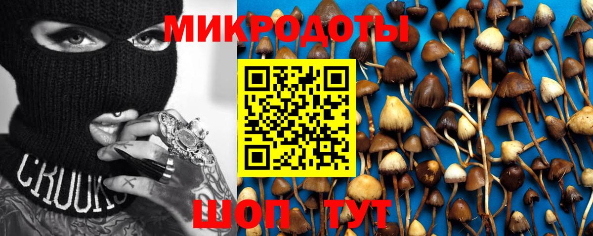 Соль-Илецк  Псилоцибиновые грибы Psilocybe  Вход с VPN 
